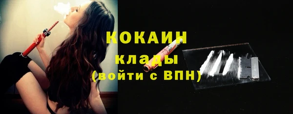 гашик Липки