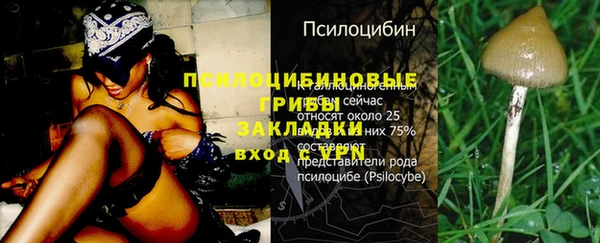 ALPHA PVP Лихославль